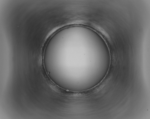 X0000111611316200907241001