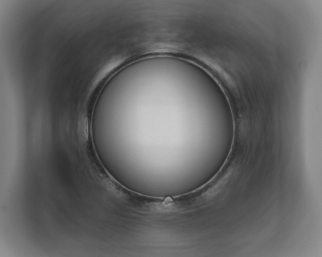 X0000111611317200907241001