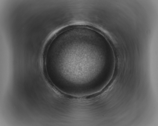 X0000111611319200907241001