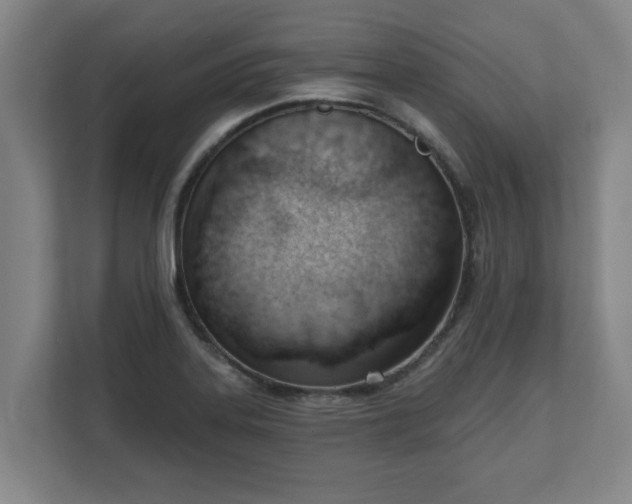 X0000111611323200907241001