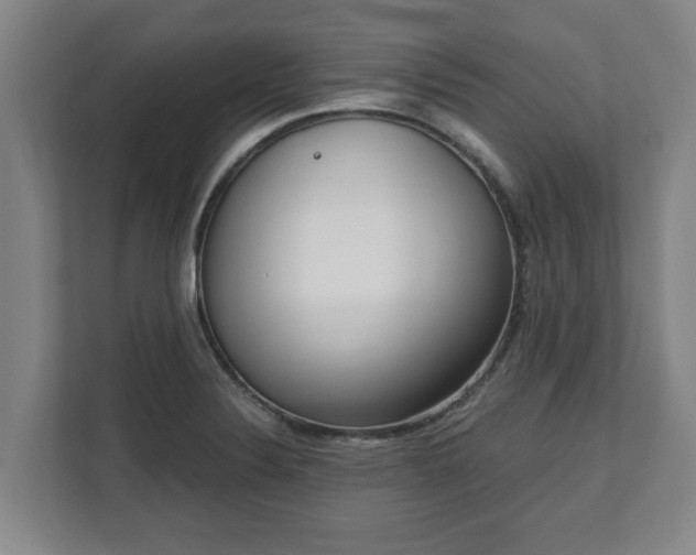 X0000111611324200907241001