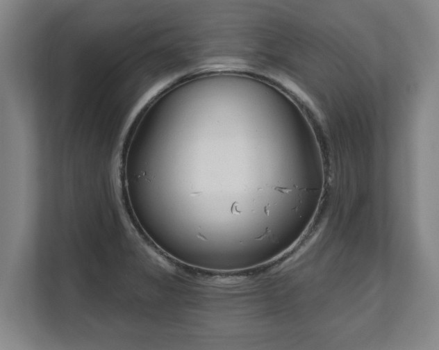 X0000111611325200907241001