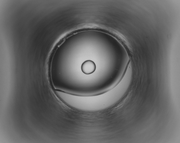 X0000111611326200907241001