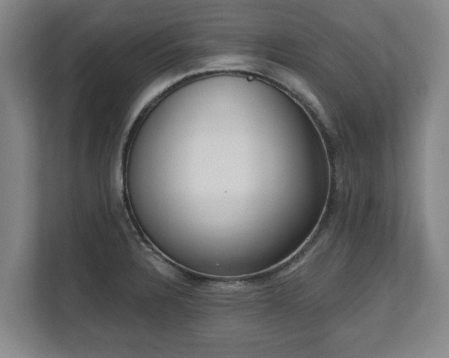 X0000111611328200907241002