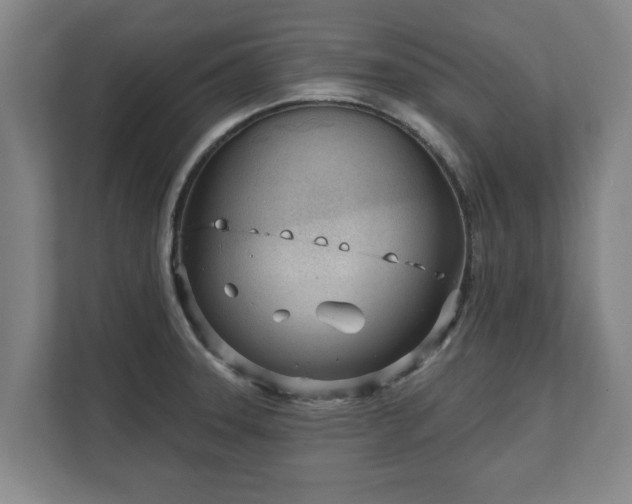 X0000111611331200907241002