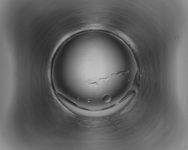 X0000111611334200907241002