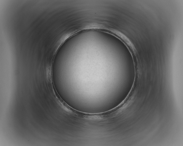 X0000111611337200907241002