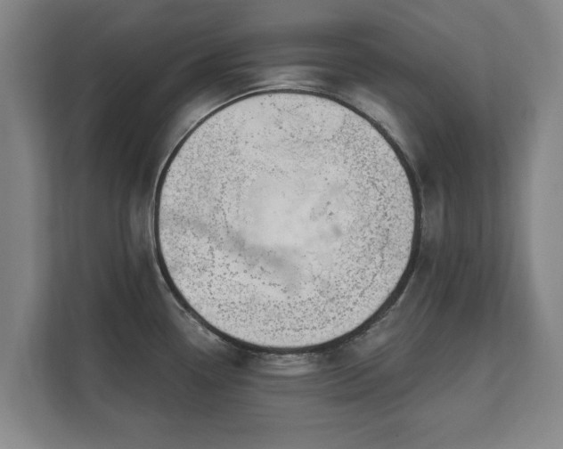 X0000111611338200907241002