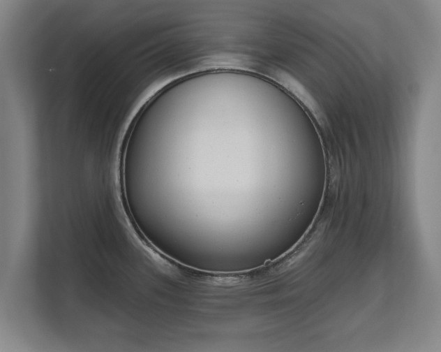 X0000111611339200907241002