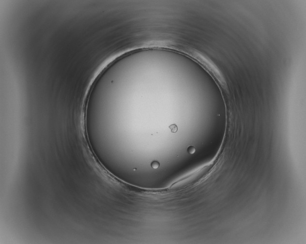 X0000111611340200907241002