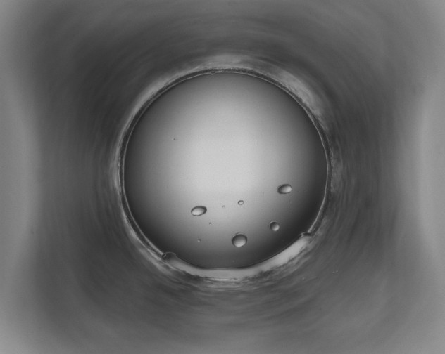 X0000111611342200907241002