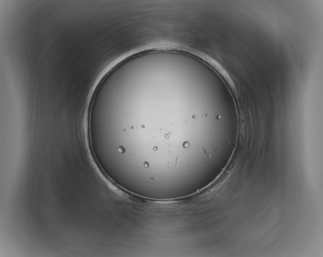 X0000111611343200907241002