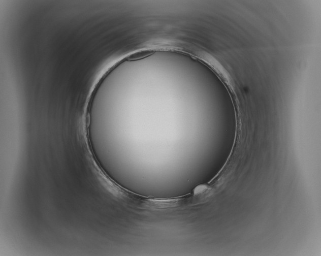 X0000111611344200907241002