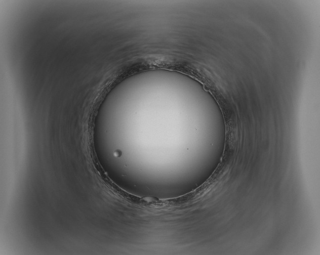 X0000111611345200907241001