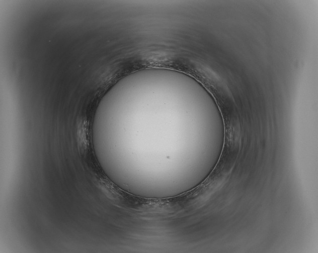 X0000111611346200907241001