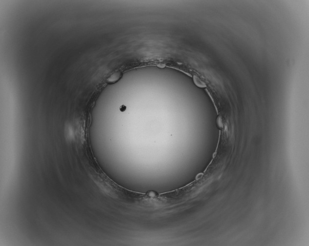 X0000111611348200907241001
