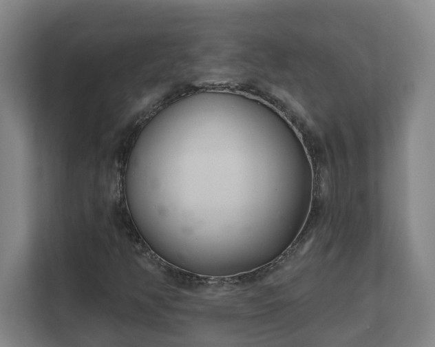 X0000111611350200907241001