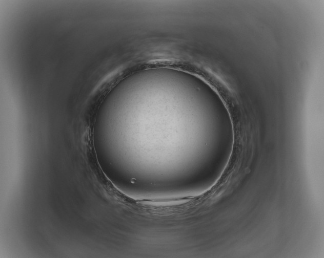 X0000111611351200907241001