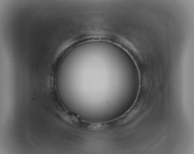 X0000111611352200907241001