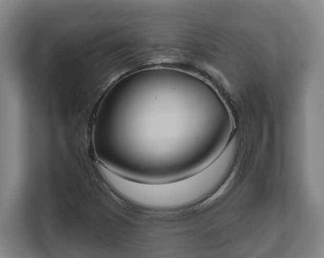 X0000111611353200907241001