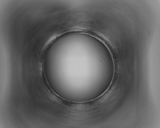 X0000111611355200907241001