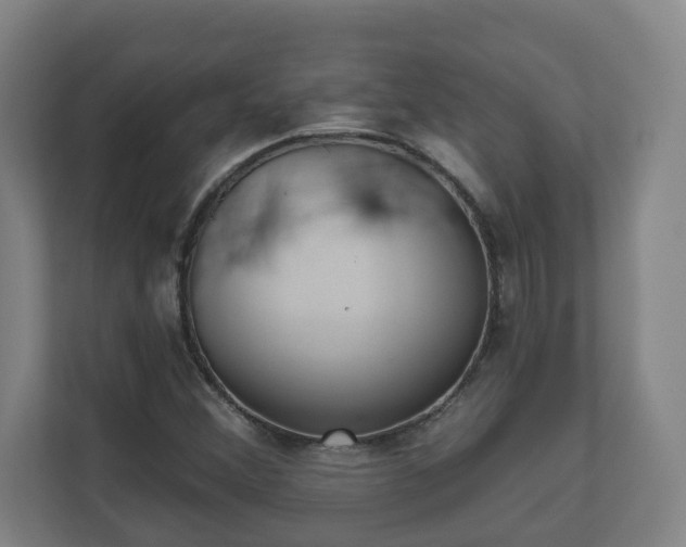 X0000111611356200907241001