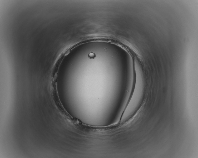 X0000111611357200907241001