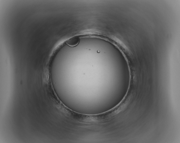 X0000111611358200907241001