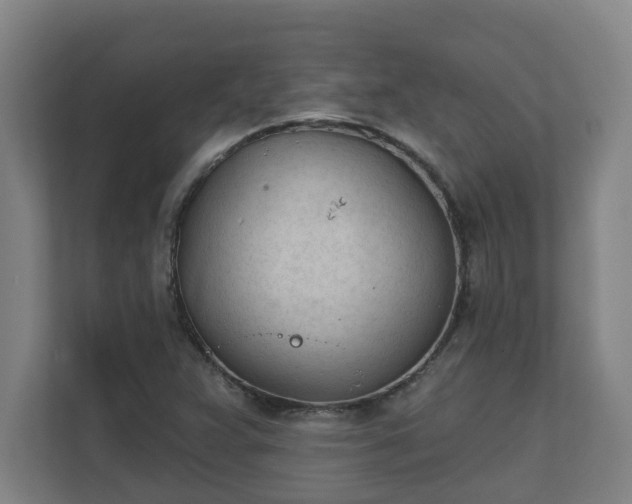X0000111611359200907241001