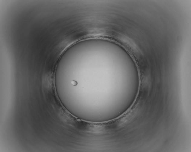 X0000111611361200907241001