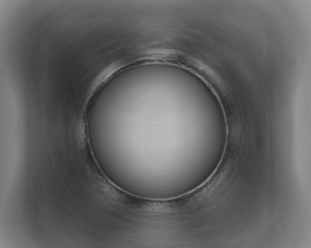 X0000111611362200907241001