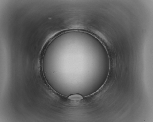 X0000111611364200907241001