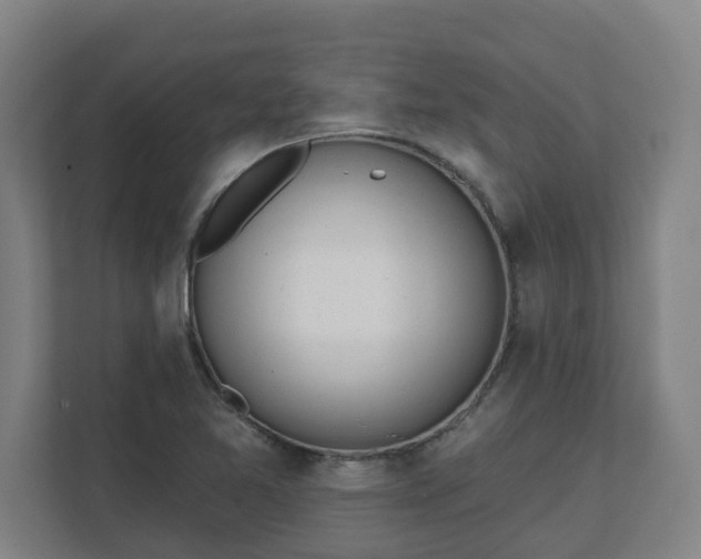 X0000111611365200907241001