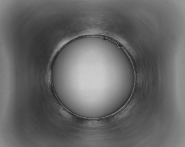 X0000111611366200907241001