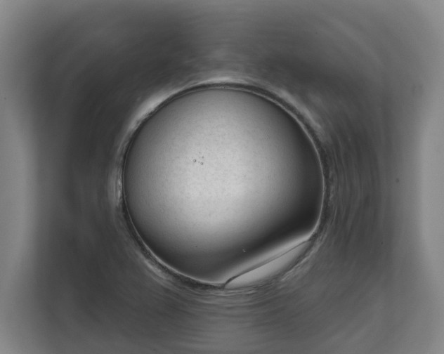 X0000111611367200907241001