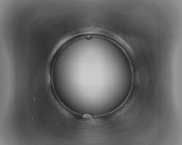 X0000111611368200907241001