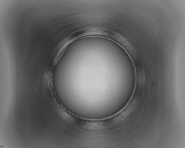 X0000111611369200907241001