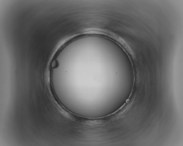 X0000111611376200907241001