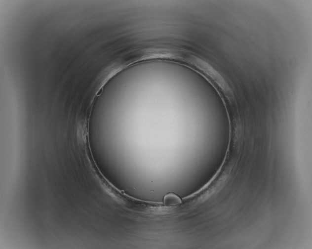X0000111611377200907241001