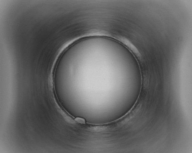 X0000111611380200907241001