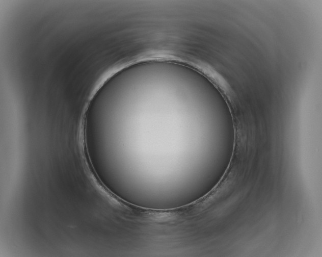 X0000111611382200907241001