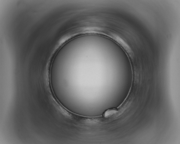 X0000111611384200907241001