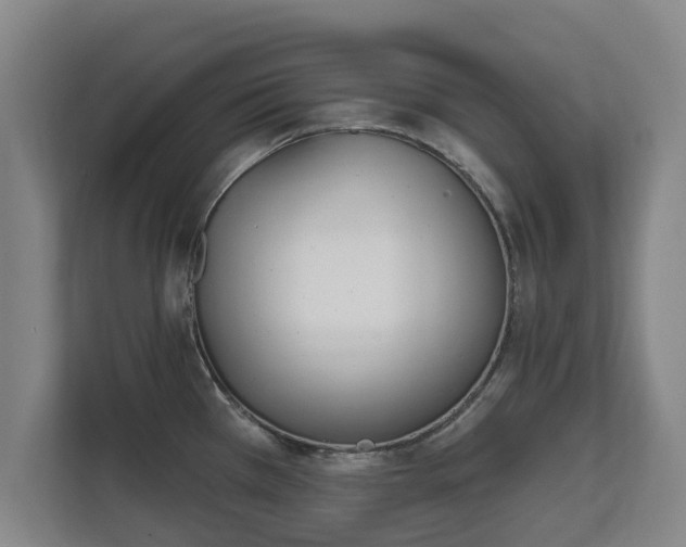 X0000111611385200907241001