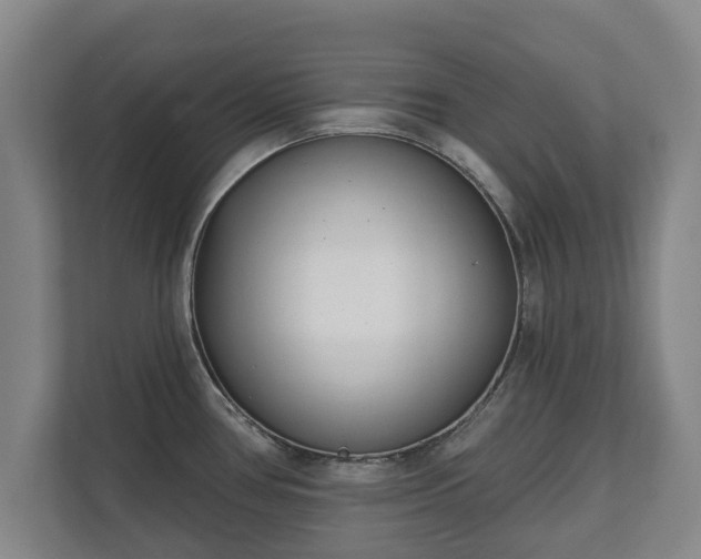 X0000111611386200907241001