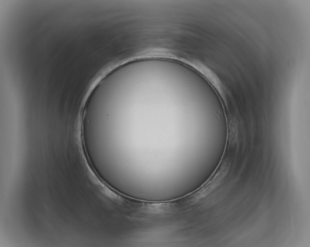 X0000111611390200907241001