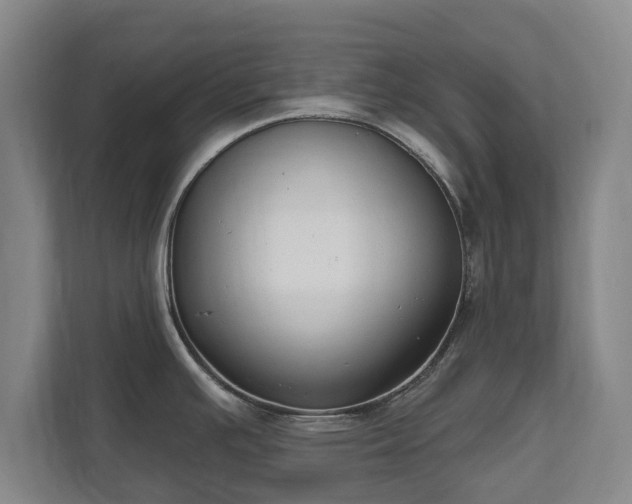 X0000111611391200907241000