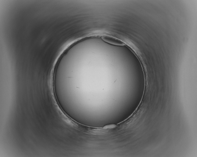 X0000111611392200907241000
