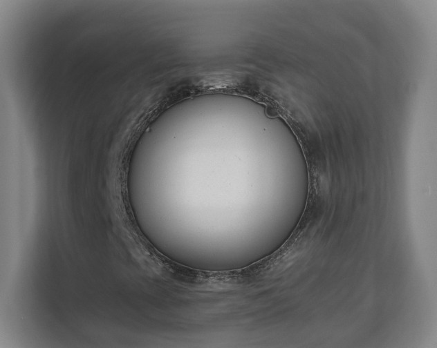 X0000111611393200907241000