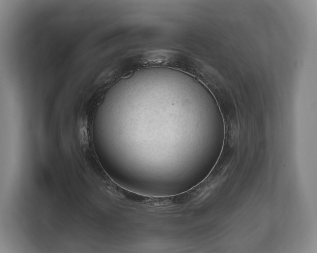 X0000111611394200907241000
