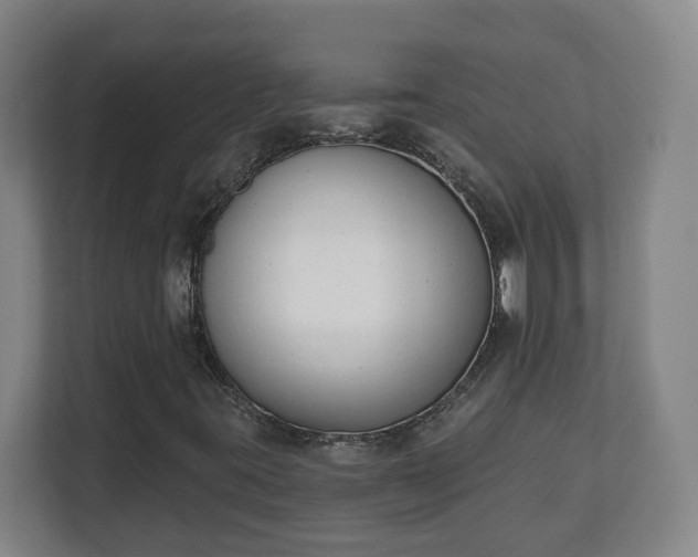 X0000111611395200907241000